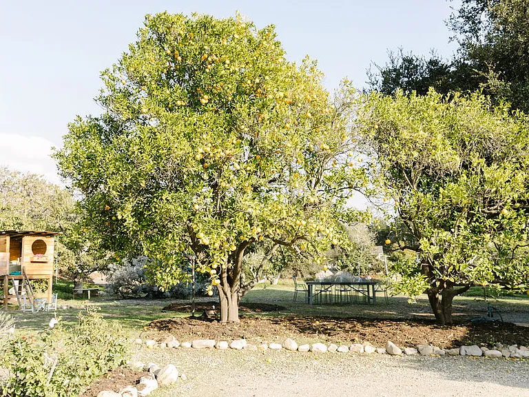 Romero Canyon Rd — Photo 31