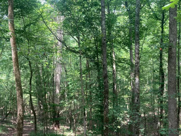State Highway 149, Braxton, MS 39044