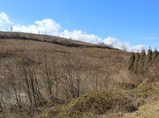 806 Old Ebenezer Rd, Marion, VA 24354