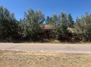 16774 Pine Valley Rd, PINE, CO 80470