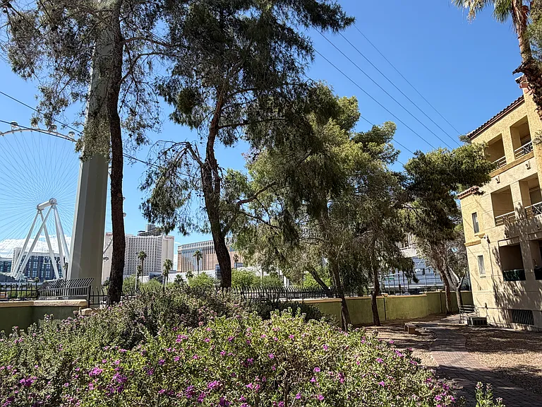 Exterior view of the private balcony and surrounding landscaped grounds, with mature trees providing shade to the balcony area all day long and enhancing the peaceful setting just outside the unit.