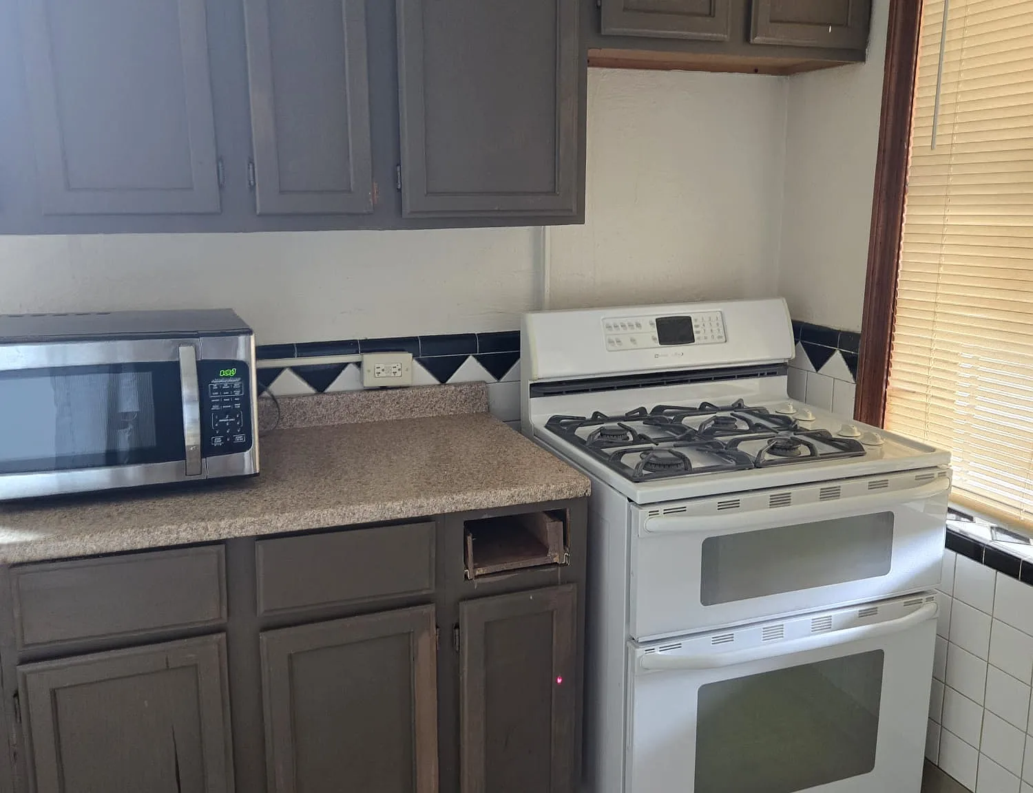 1 bed, 780 sqft, $800 — Photo 3