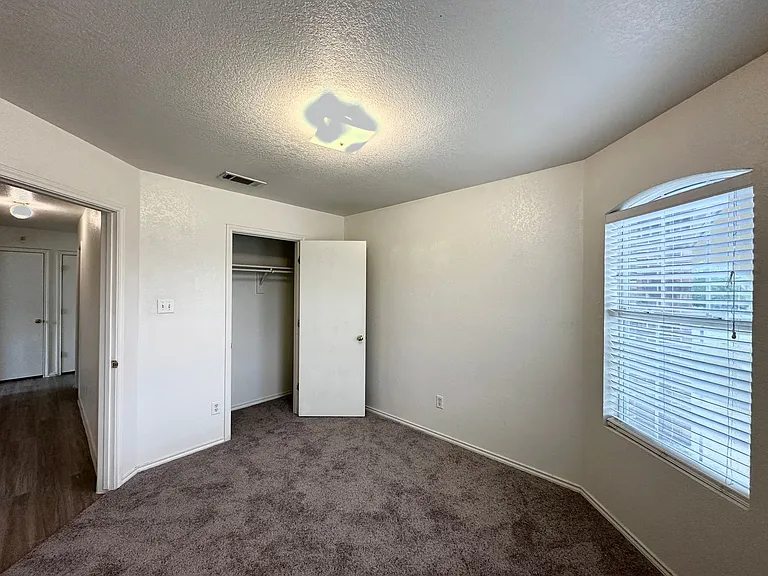 5309 Holster Dr — Photo 30