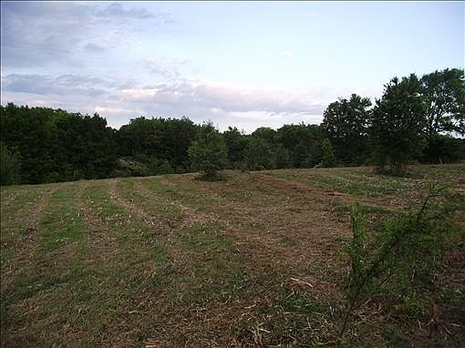 4th image of 365 Woodchuck Ln