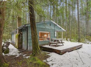 23834 E Chinquepin Dr, Rhododendron, OR 97049