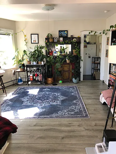 20 Doyle Ave #3 Photo 1
