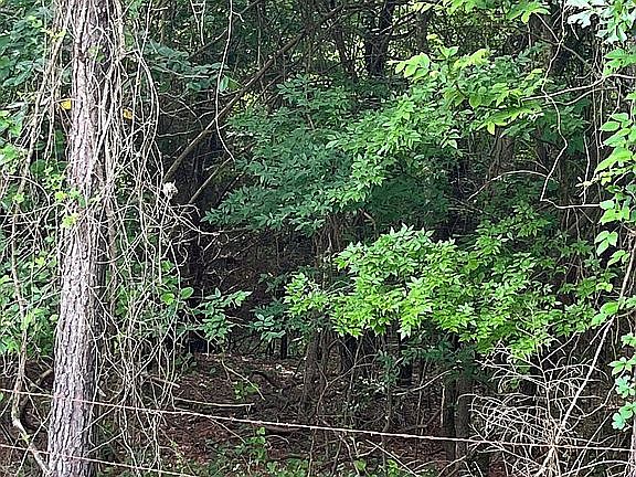 5th image of 291 County Road 3430