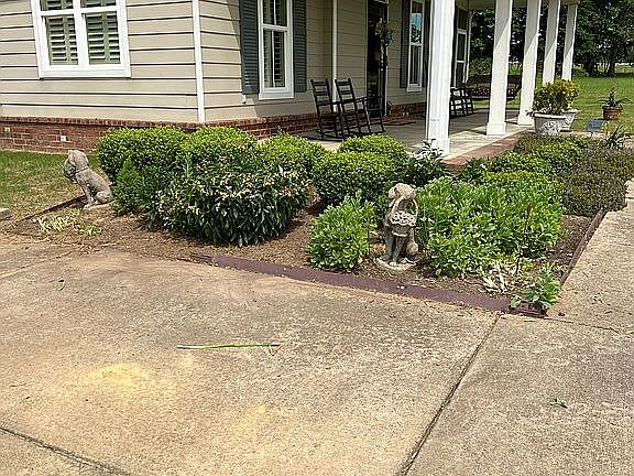 4th image of 1135 Ivy Dr
