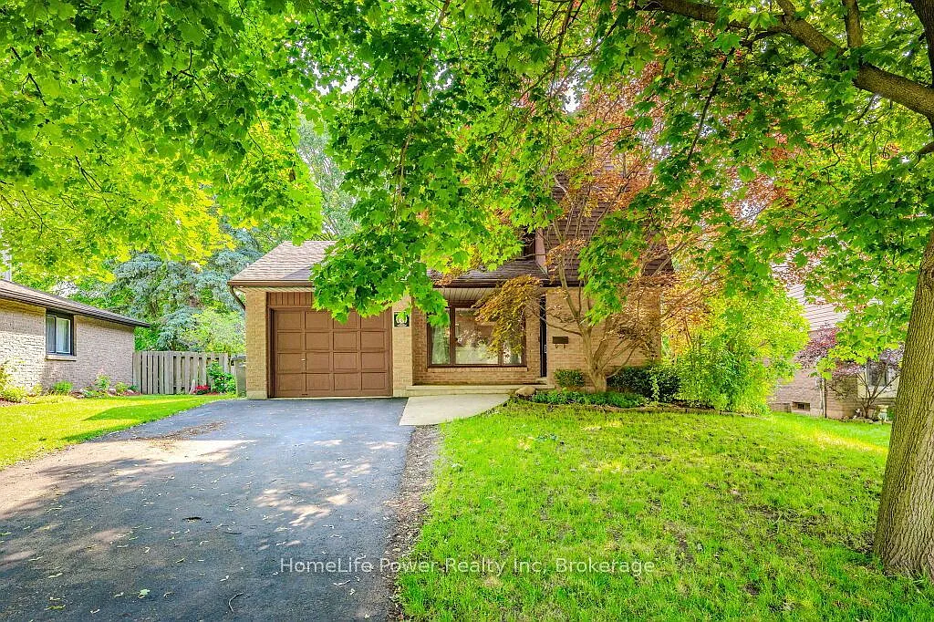 3 bed, $3,650 — Photo 3