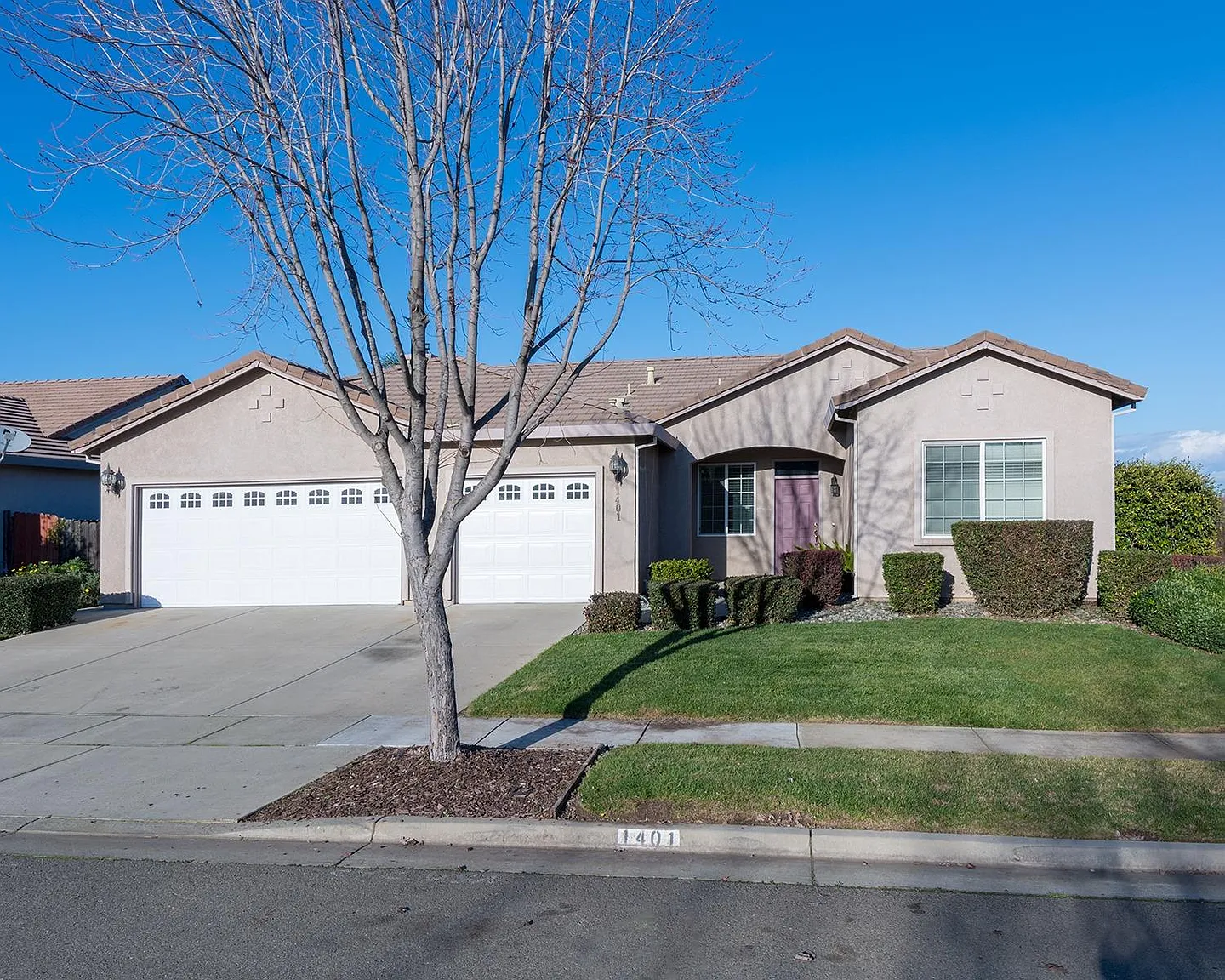 1401 Butte Vista Ln photo 1