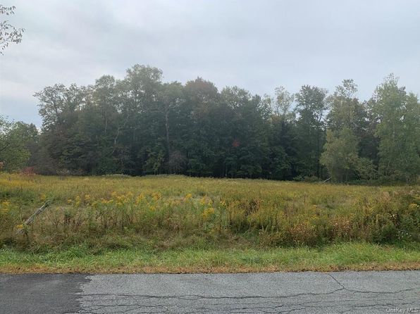 Fallsburg NY Real Estate - Fallsburg NY Homes For Sale | Zillow