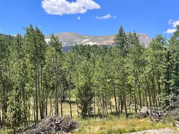 845 Adventure Road LOT 16, Alma, CO 80420
