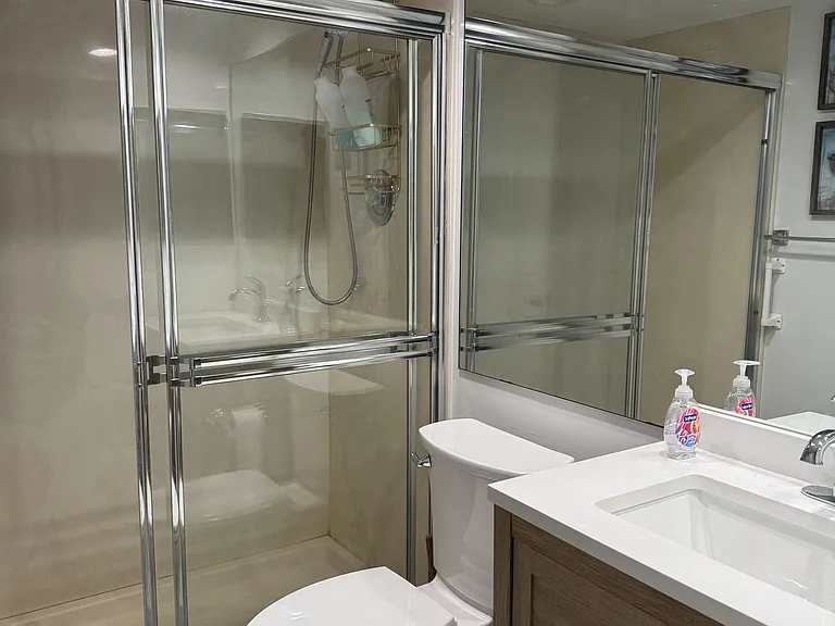 Guest bathroom with walk-in shower.