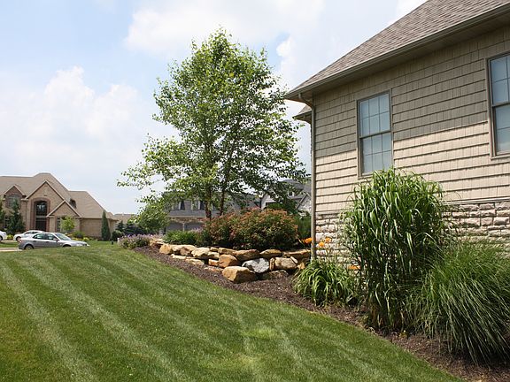 2nd image of 2819 Steelwood Cir