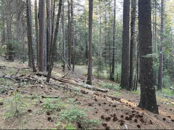 30115 N Bloomfield Graniteville Rd, Nevada City, CA 95959