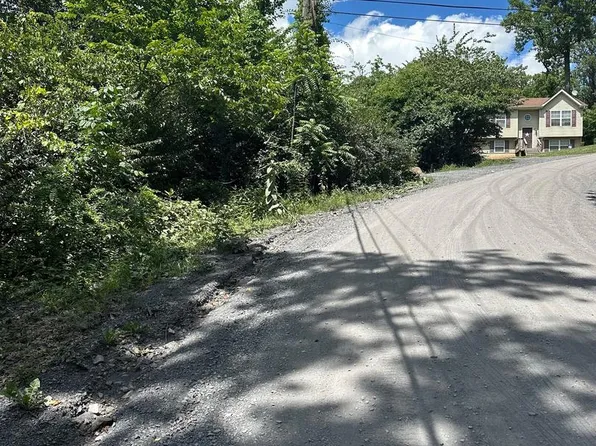 2LOTS;-463 462 Reid Dr, Front Royal, VA 22630