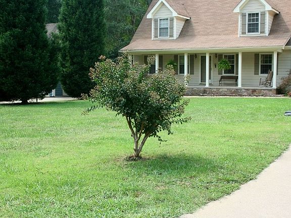 Beautiful lot with mature trees