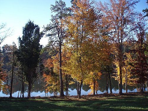 Lake view