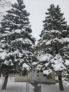 2609 Gilboa Ave, Zion, IL, 60099