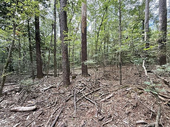 3rd image of LOT 986 Bowline Dr