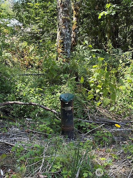 2nd image of 1183 Blyn Springs Road