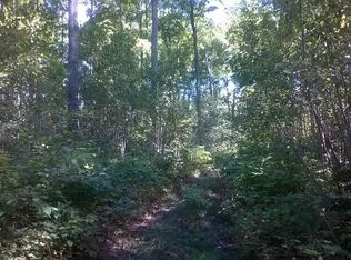 4345 Leckrone Rd, Brethren, MI 49619