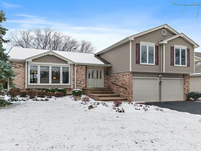508 E Beech Dr, Schaumburg, IL, 60193