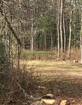 4th image of 3 Shadow Woods Ln