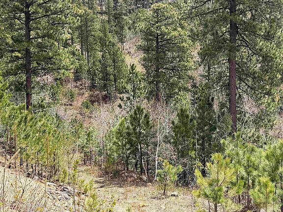 3rd image of Aspen Creek Dr