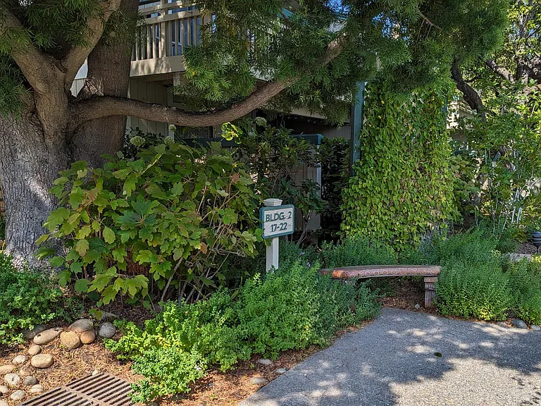 Live Oak Apartments — Photo 77