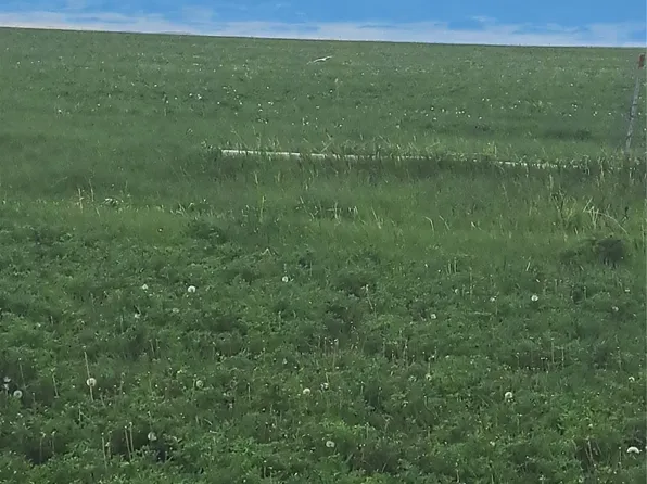 1570 3rd Rd SW, Fairfield, MT 59436