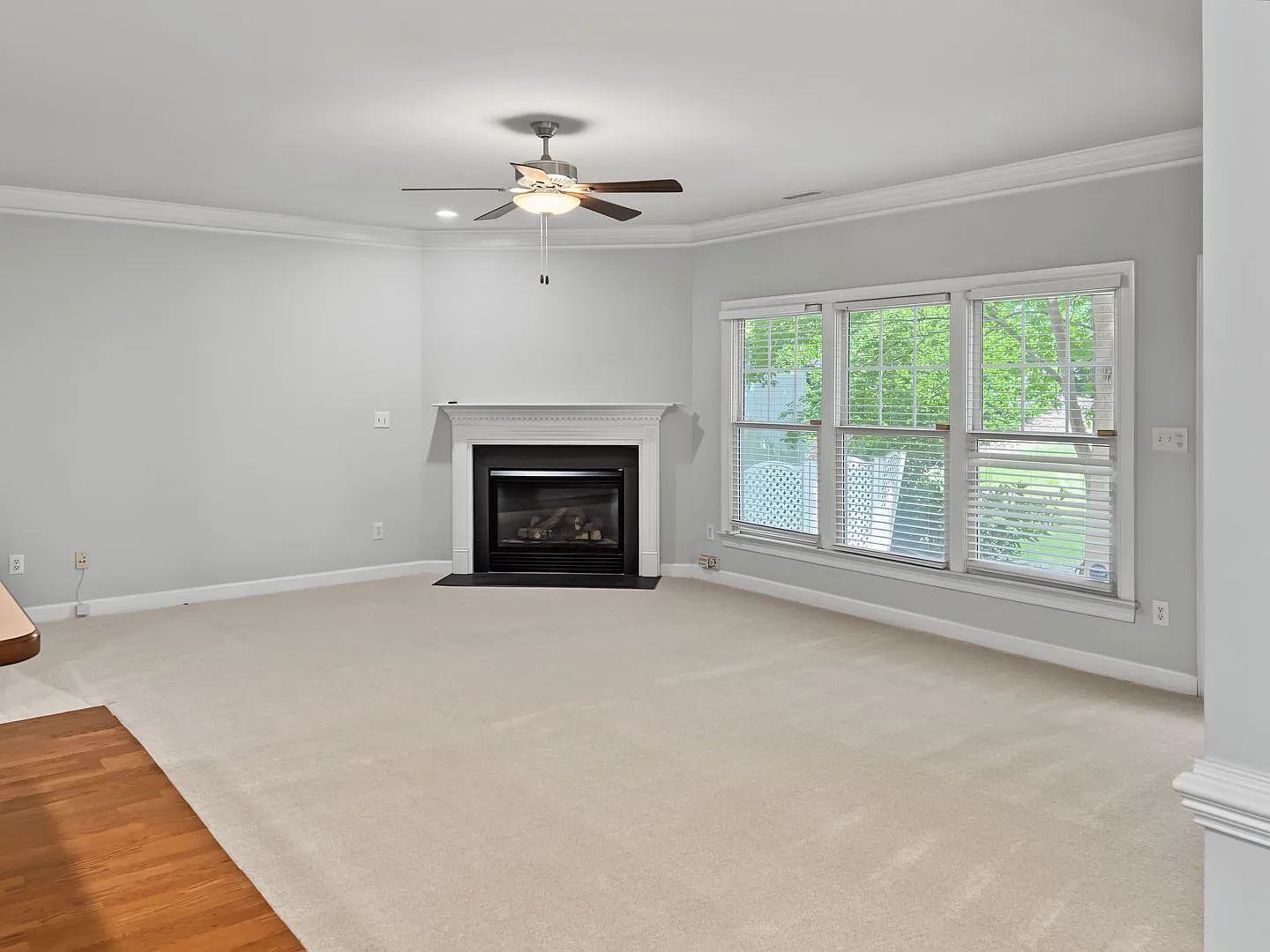 Brand new carpet! — Photo 4