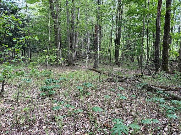 3rd image of Kellogg Hill Rd