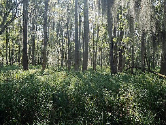 47th image of this home