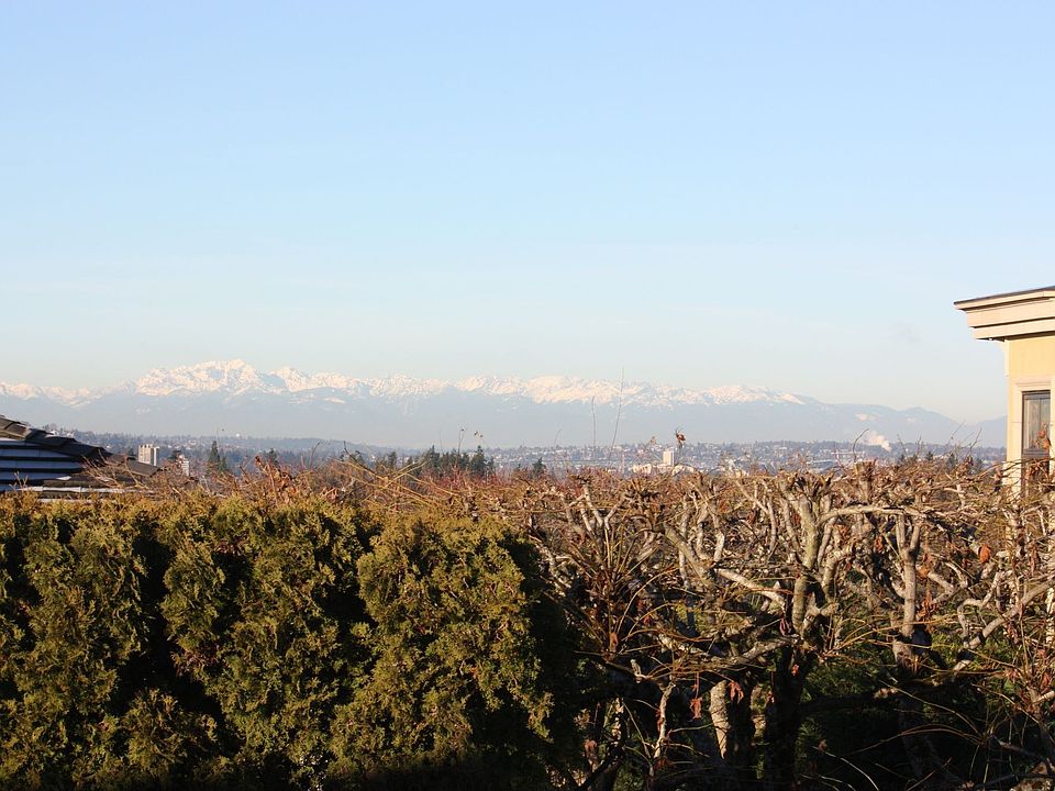 Olympic Mountains
