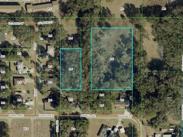 City Lot 1, Wildwood, FL 34785