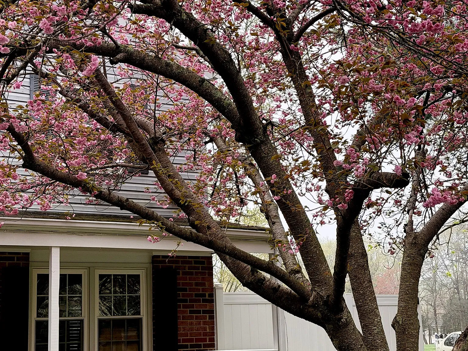 A Beautifully Renovated Retreat Designed for Modern Living — Photo 2