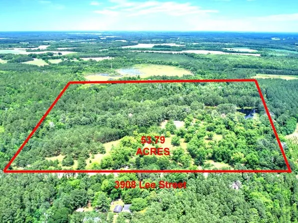 3908 Lee Street Rd, Leslie, GA 31764