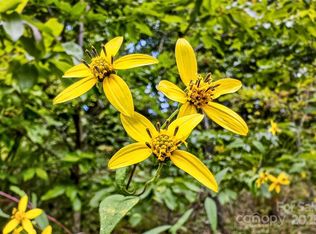 1696 Catawba Falls Pkwy #190, Black Mountain, NC 28711