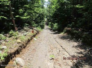 205 Trout Lake Rd, Diamond Point, NY 12824
