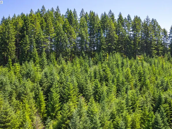 53010 Timber Rd, Vernonia, OR 97064