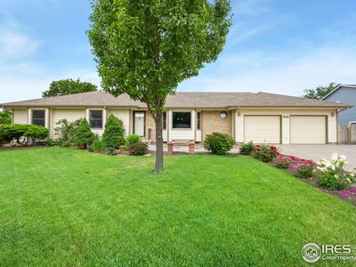 908 Pine Dr, Windsor, CO, 80550