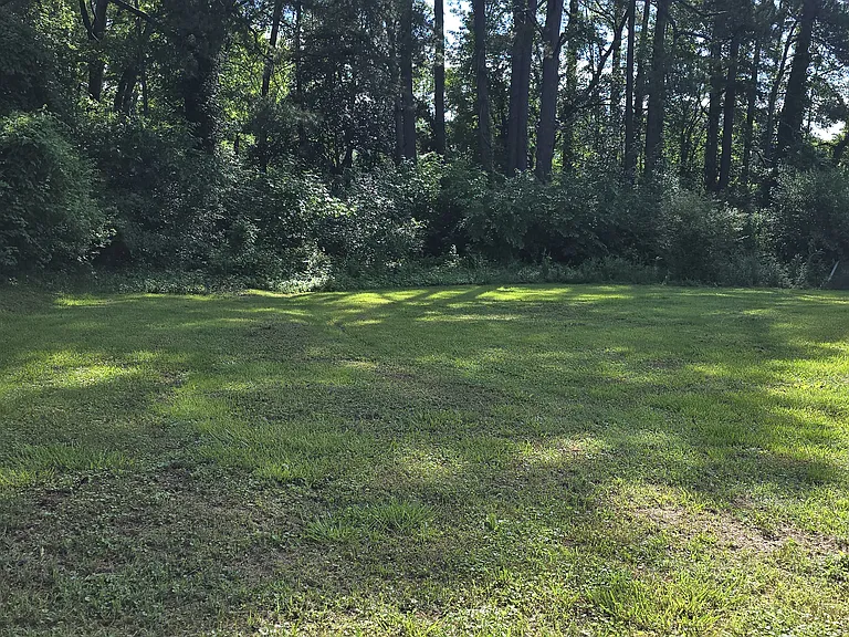 3819 Cobb St — Photo 16