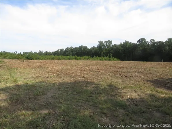 LOT Survey Dr #D, Fairmont, NC 28340