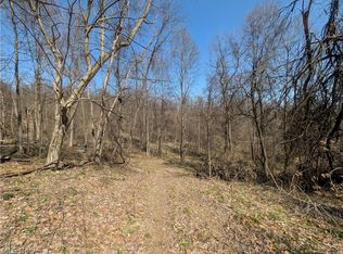 Township Road 289, Salineville, OH 43945