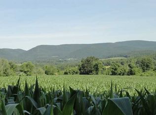 Center Hill Rd, Copake, NY 12516