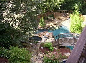 exotic backyard