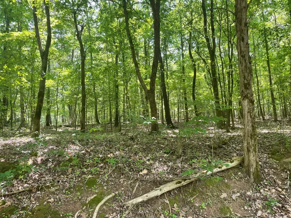 7 York Dr Lot 7, Rogersville, AL 35652