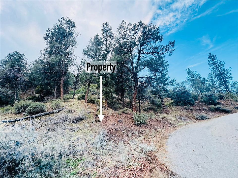 2nd image of LOT 114