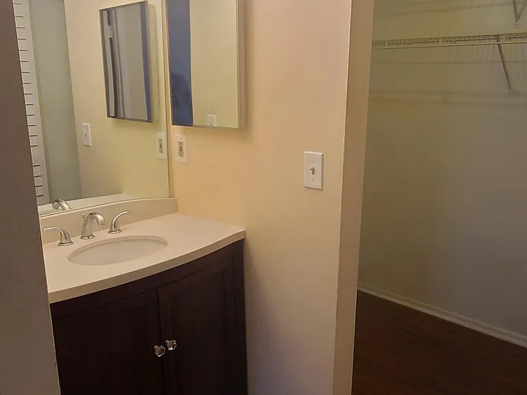 Master Vanity and Walk in